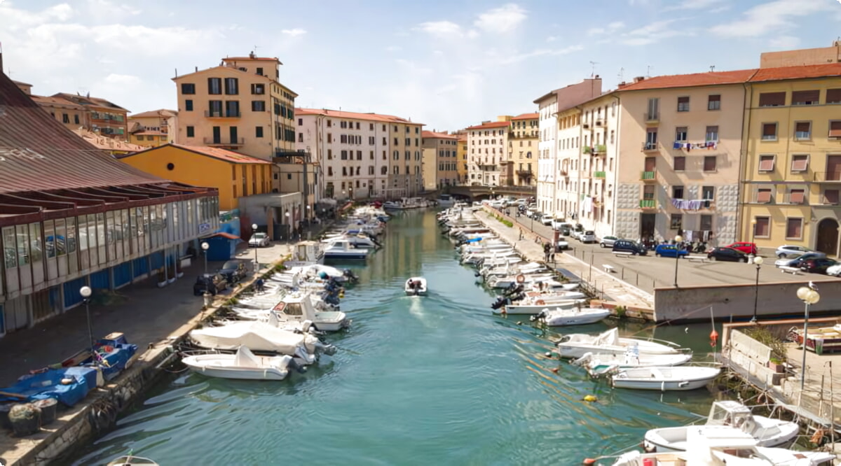 Nuestros servicios de alquiler de coches ofrecen una diversa selección de vehículos en Livorno.